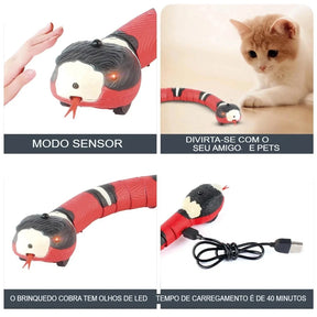 Cobra Interativa para Gatos