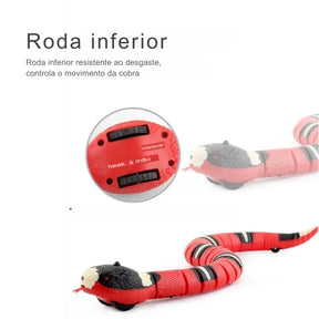 Cobra Interativa para Gatos