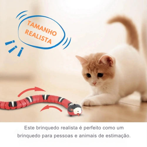 Cobra Interativa para Gatos